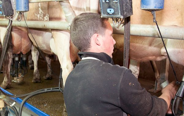 La Jersiaise : Economique et rentable !