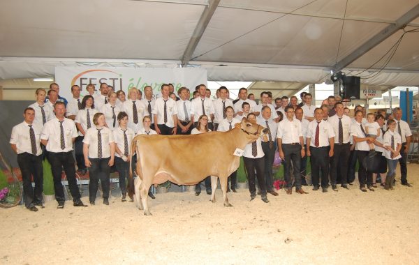 3e Concours National Jersiais – 7&8 septembre 2019