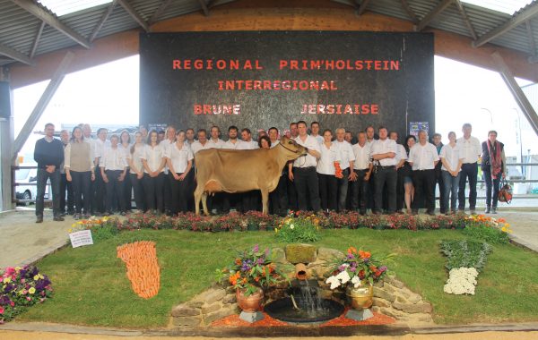 Flash (DJ plys), Grand championne de l’Inter régional Ouest 2016