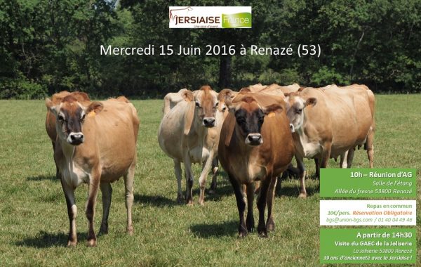 Assemblée Générale 2016