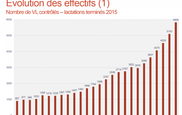 Rapport d’activités 2015/2016