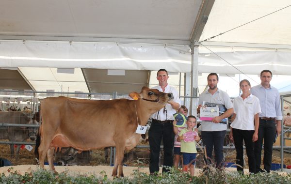 Flash ((DJ PLYS), Championne au Festi’Elevage