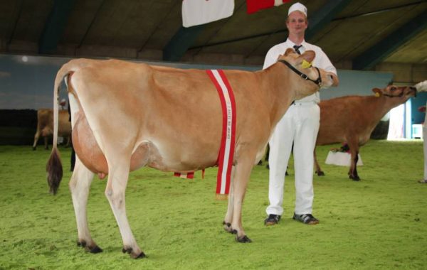 Concours National Danois – 29 juin 2017