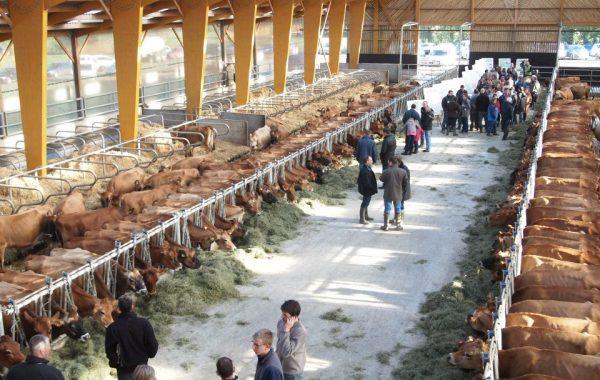 GAEC de la Haute Folie