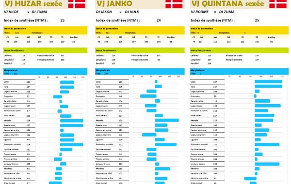 Gamme taureaux, du nouveau dès le 1er février !
