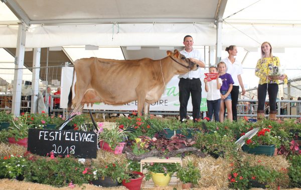 FLASH s’impose à Chemillé