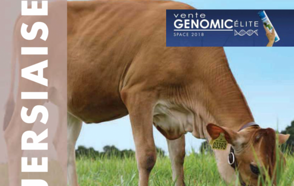 4 JERSIAISES à la vente Génomic Elite du SPACE 2018