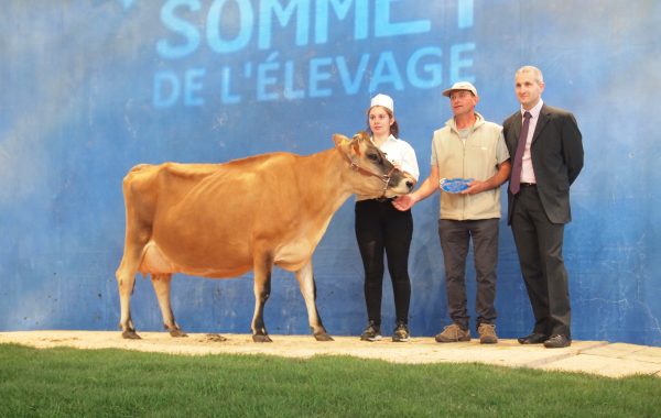 FAUVETTE (Lirsk x Q Lanius) à nouveau Grande Championne au Sommet de l’Élevage !
