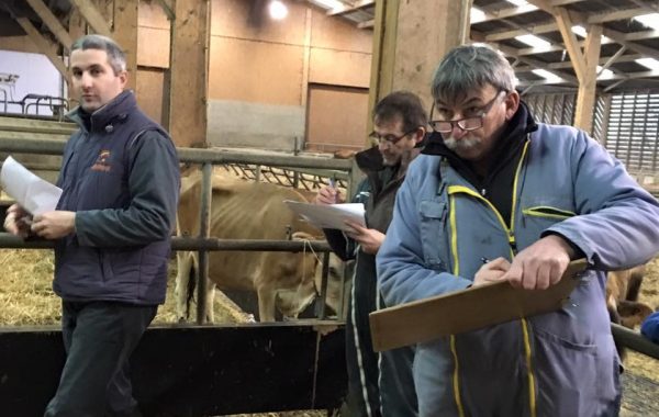 AG Syndicat 49 et Groupement de l’Ouest – Jeudi 31 Janvier