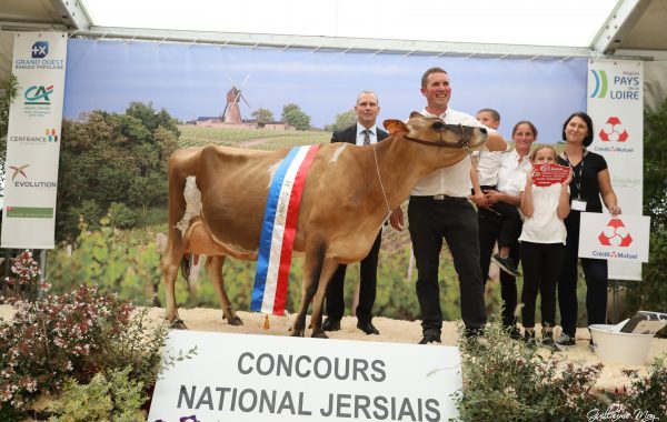 National Jersiais 2019 : IRONIE sacrée Grande Championne