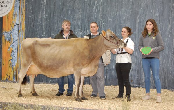 SIA 2020 – 16 Jersiaises en concours