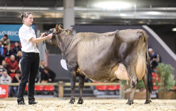 EOSINE, Grande Championne SIA 2020