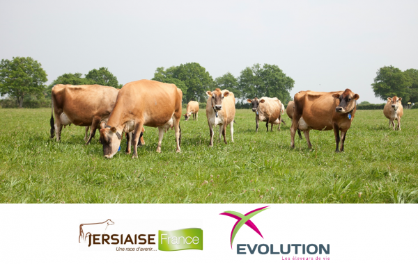 Indexation d’Avril : Les nouveaux index Jersiais sont désormais disponibles